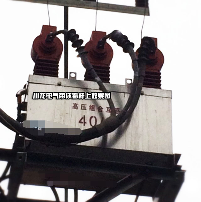<b>YFJLSZ-10高壓預(yù)付費(fèi)計量開關(guān)ZW32J</b>