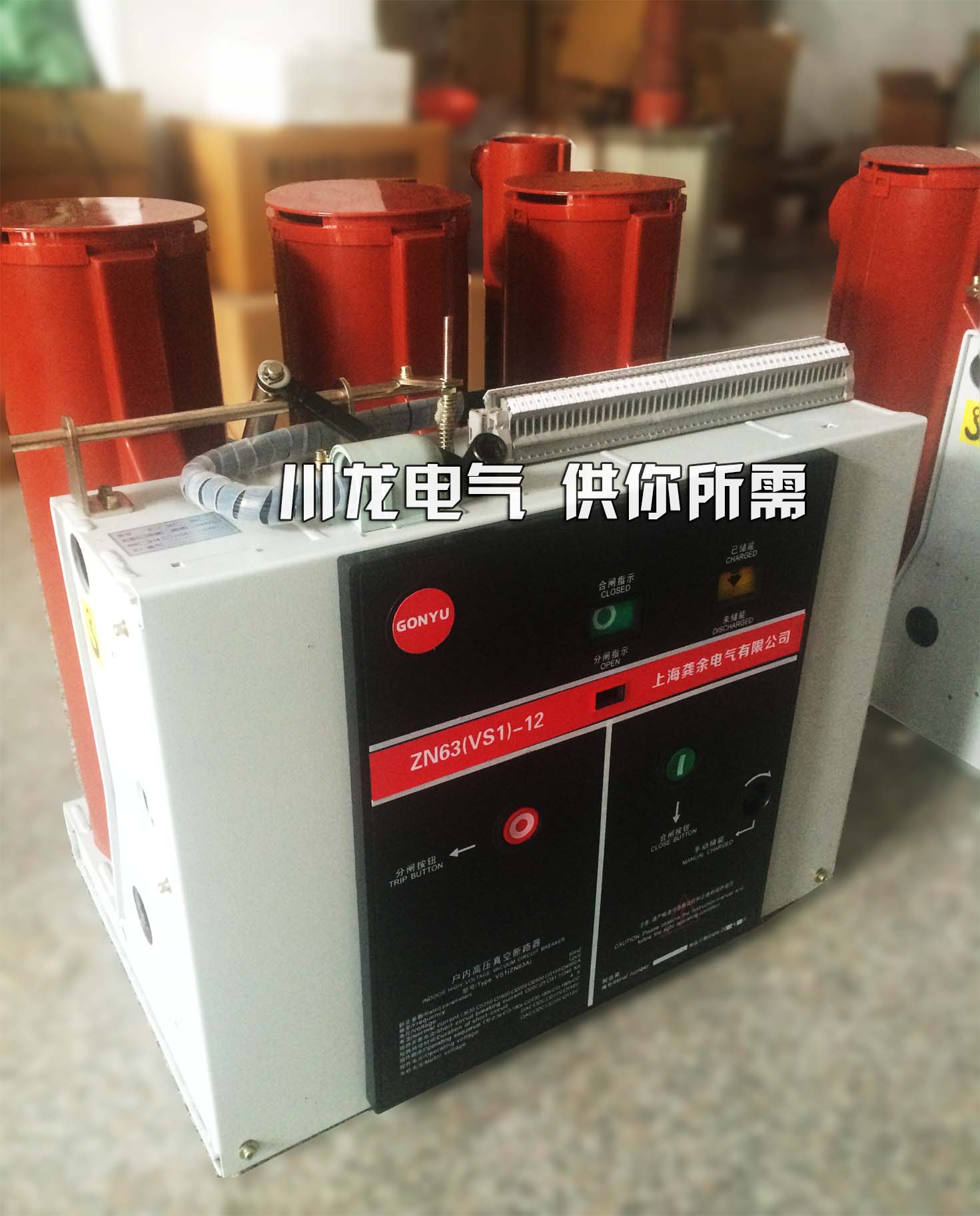 <b>ZN73-12戶內(nèi)高壓真空斷路器VGYM-12</b>