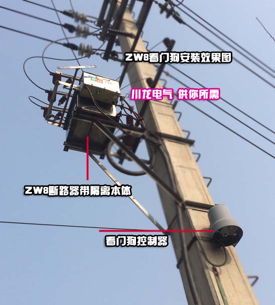ZW8看門狗