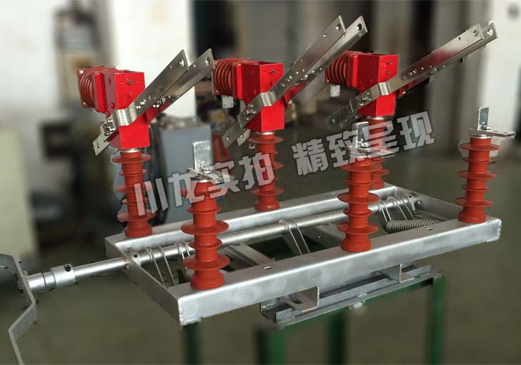 FZW32-12高壓真空隔離負荷開關